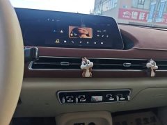ORA Good Cat 400km Standard Range Venus Edition Ternary Lithium Battery - ფოტო 13