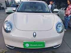 ORA Good Cat 400km Standard Range Venus Edition Ternary Lithium Battery - ფოტო 3