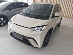 BYD Seagull Glory Edition 305km Freedom Version - ფოტო 1