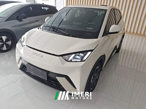 2024 BYD Seagull Glory Edition 305km Freedom Version - ავტომობილი ჩინეთიდან
