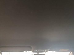 BYD Seagull Glory Edition 305km Freedom Version - ფოტო 18