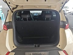 BYD Seagull Glory Edition 305km Freedom Version - ფოტო 19