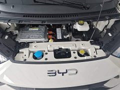 BYD Seagull Glory Edition 305km Freedom Version - ფოტო 20