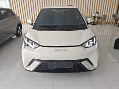BYD Seagull Glory Edition 305km Freedom Version - ფოტო 3