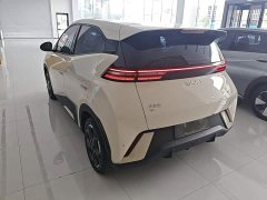 BYD Seagull Glory Edition 305km Freedom Version - ფოტო 5