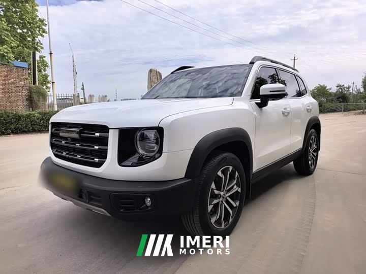 Great Wall Dachshund 1.5T DCT Two-Wheel Drive Border Collie Edition