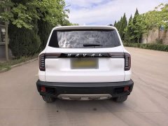 Great Wall Dachshund 2021 1.5T DCT Two-Wheel Drive Border Collie Edition - ფოტო 13