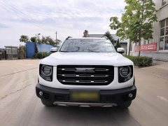 Great Wall Dachshund 2021 1.5T DCT Two-Wheel Drive Border Collie Edition - ფოტო 8