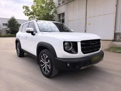 Great Wall Dachshund 2021 1.5T DCT Two-Wheel Drive Border Collie Edition - ფოტო 9