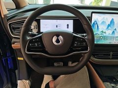 Denza BYD Denza D9 DM-i Smart Drive 1020 AWD Premium - ფოტო 11