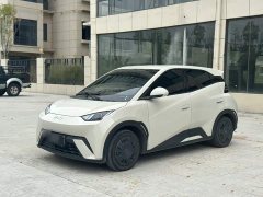 BYD Seagull Vitality Edition - ფოტო 1