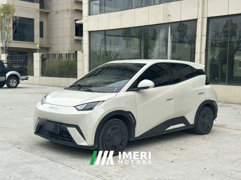 2023 BYD Seagull Vitality Edition - ავტომობილი ჩინეთიდან