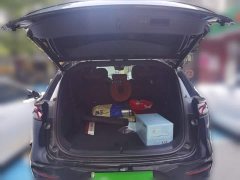 BYD Tang New Energy 2021 DM-i 112KM Premium Edition - ფოტო 10