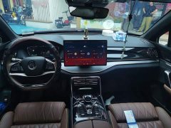 BYD Tang New Energy 2021 DM-i 112KM Premium Edition - ფოტო 13