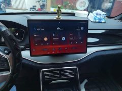 BYD Tang New Energy 2021 DM-i 112KM Premium Edition - ფოტო 6