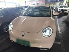ORA Good Cat 400km Standard Range Deluxe Edition LFP Battery - ფოტო 3