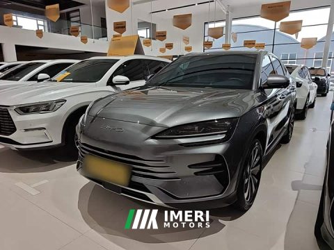 2024 BYD Song Plus New Energy DM-i 110km Flagship Honors Edition - ავტომობილი ჩინეთიდან