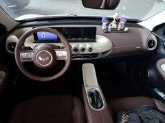 Wuling Binguo 333km Joy Edition - ფოტო 10