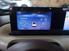 Wuling Binguo 333km Joy Edition - ფოტო 12