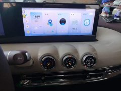 Wuling Binguo 333km Joy Edition - ფოტო 13