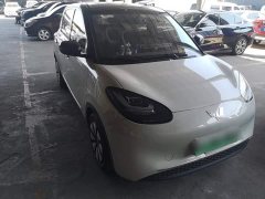 Wuling Binguo 333km Joy Edition - ფოტო 4