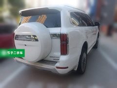 Tank 500 New Energy Hi4-T - ფოტო 10