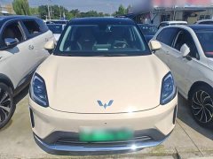 Wuling Bingo S 430km Flagship - ფოტო 3