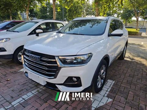 2021 Haval H6 National Trend 1.5T Automatic Champion Edition - ავტომობილი ჩინეთიდან