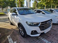 Haval H6 National Trend 1.5T Automatic Champion Edition - ფოტო 4