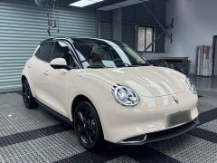 ORA Good Cat 2024 401km Deluxe 126kW - ფოტო 15