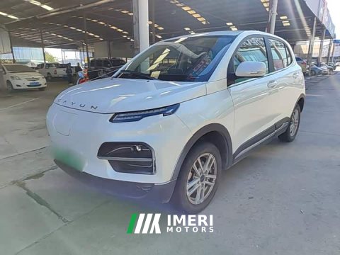 2023 Yuehu Yuetiger 30.66kWh Two-Wheel Drive Standard Edition - ავტომობილი ჩინეთიდან