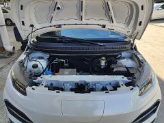 Yuehu Yuetiger 30.66kWh Two-Wheel Drive Standard Edition - ფოტო 20