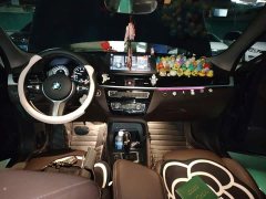 BMW X1 sDrive25Li Premier - ფოტო 13