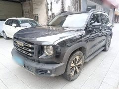 Great Wall Dachshund 1.5T DCT Two-Wheel Drive Labrador Edition - ფოტო 1