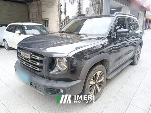 2021 Great Wall Dachshund 1.5T DCT Two-Wheel Drive Labrador Edition - ავტომობილი ჩინეთიდან