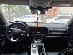 Great Wall Dachshund 1.5T DCT Two-Wheel Drive Labrador Edition - ფოტო 10