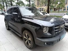 Great Wall Dachshund 1.5T DCT Two-Wheel Drive Labrador Edition - ფოტო 4