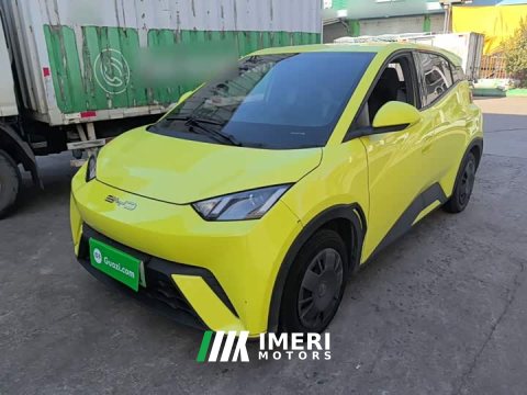 2023 BYD Seagull Vitality Edition - ავტომობილი ჩინეთიდან