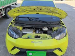 BYD Seagull Vitality Edition - ფოტო 20