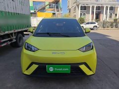 BYD Seagull Vitality Edition - ფოტო 3
