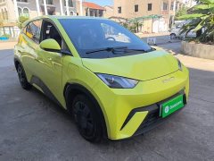 BYD Seagull Vitality Edition - ფოტო 4