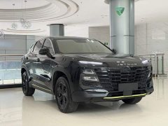 Jetour Jietu Dasheng 1.5T DCT Youth Pro - ფოტო 14