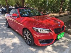 BMW 2 Series (Imported) 2019 225i Convertible Sports Design Package - ფოტო 4