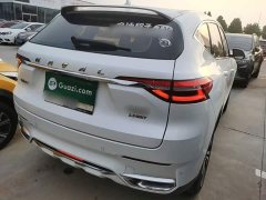 Haval F7 2.0T Two-Wheel Drive i-Range - ფოტო 7