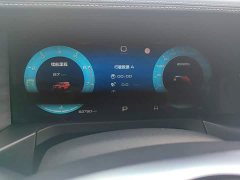 Tank 300 2021 Off-Road Edition 2.0T Challenger - ფოტო 8