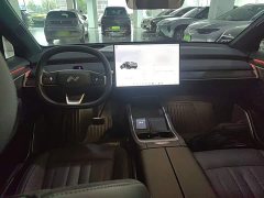 Nio Lerado L60 2024 60kWh Rear-Wheel Drive - ფოტო 6