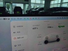Nio Lerado L60 2024 60kWh Rear-Wheel Drive - ფოტო 8