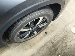BYD Song Pro New Energy DM-i 71KM Glory Edition Pilot - ფოტო 12