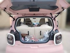 FAW Besturn Xiaoma 170km Vitality Edition - ფოტო 10