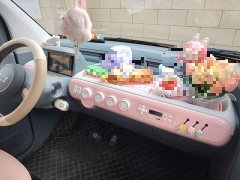 FAW Besturn Xiaoma 170km Vitality Edition - ფოტო 18